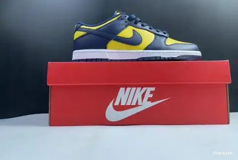 Michigan Nike Dunk DD1391-700 Low 0504